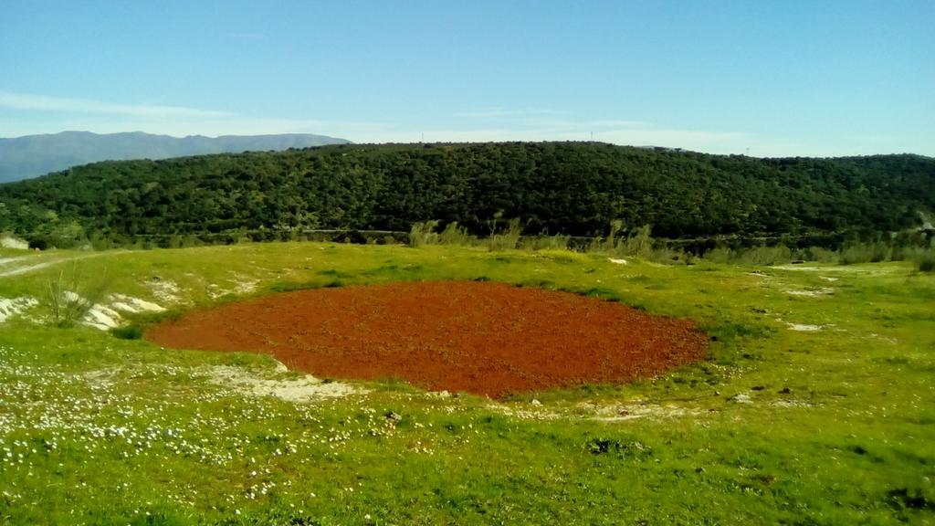 Apartamento O Casa Rural Roquemar Guijo de Granadilla Esterno foto